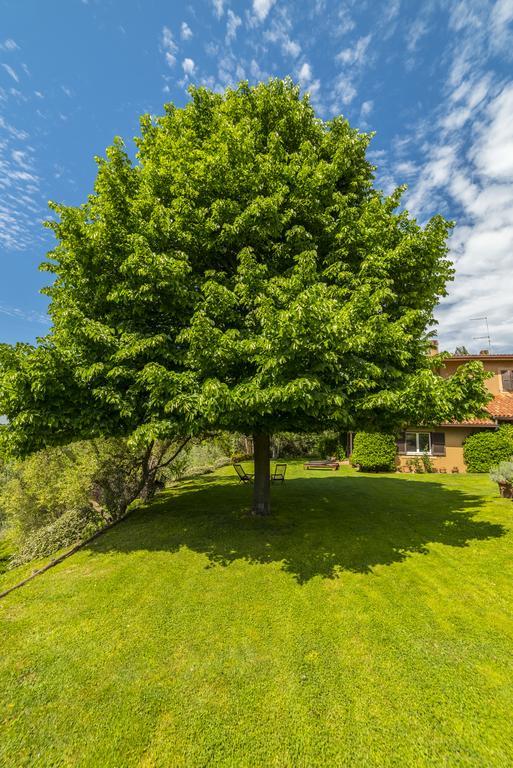 B&B Acque Lucenti Sacrofano エクステリア 写真