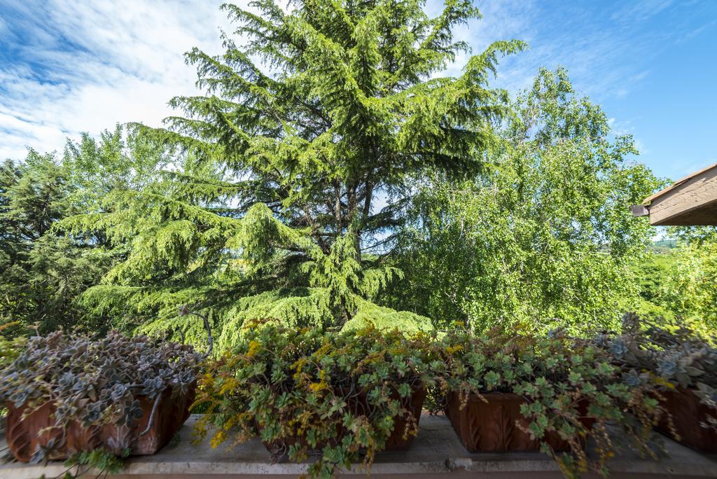 B&B Acque Lucenti Sacrofano エクステリア 写真