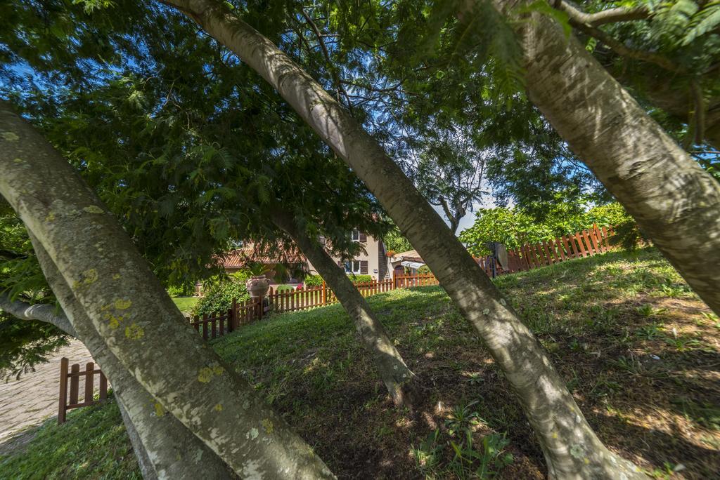 B&B Acque Lucenti Sacrofano エクステリア 写真